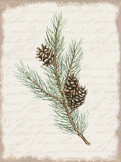 Cindy Jacobs CIN3282 - CIN3282 - Pine Cone Botanical II - 12x16 Pine Cones, Botanical, Evergreen, Sprig, Nature, Christmas, Holidays  from Penny Lane