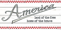 CIN3296 - America - Land of the Free - 18x9