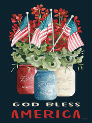 CIN3301 - God Bless America - 12x16