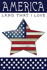 CIN3305 - Land that I Love Star - 12x18