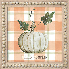 CIN3442LIC - Hello Pumpkin - 0