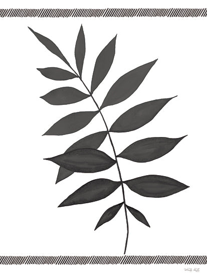 Cindy Jacobs CIN3515 - CIN3515 - Leaf Collection II - 12x16 Leaves, Leaf Collection, Black & White from Penny Lane