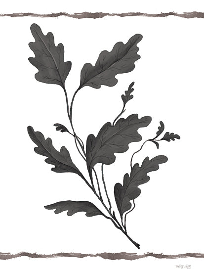 Cindy Jacobs CIN3517 - CIN3517 - Leaf Collection IV - 12x16 Leaves, Leaf Collection, Black & White from Penny Lane