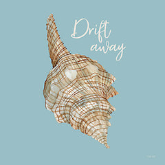 CIN3538 - Drift Away Seashell - 12x12