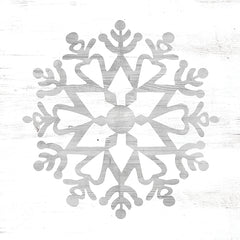 CIN3556 - Snowflake Dreams II    - 12x12
