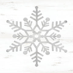 CIN3558 - Snowflake Dreams IV     - 12x12