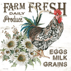 CIN3651 - Farm Fresh Produce - 12x12