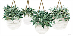 CIN3710 - Hanging Plants - 18x9