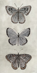 CIN3728 - Antique Butterflies I - 9x18