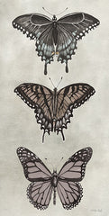 CIN3729 - Antique Butterflies II - 9x18