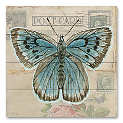 CIN3730PAL - Postcard Butterfly I - 12x12