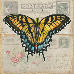 CIN3731 - Postcard Butterfly II - 12x12