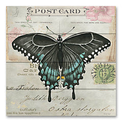 CIN3732PAL - Postcard Butterfly III - 12x12