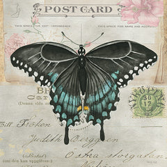 CIN3732 - Postcard Butterfly III - 12x12
