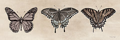 CIN3763 - Antique Butterfly Sketch I - 18x6