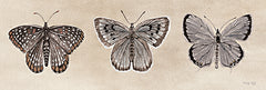 CIN3764 - Antique Butterfly Sketch II - 18x6
