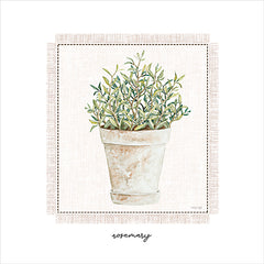 CIN3807 - Fresh Rosemary - 12x12