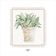 CIN3808 - Fresh Sage - 12x12