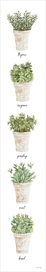 Cindy Jacobs CIN3810 - CIN3810 - Potted Herbs - 6x36 Kitchen, Potted Herbs, Herbs, Typography, Signs, Textual Art, Cottage/Country, Types of Herbs from Penny Lane