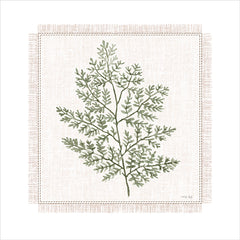 CIN3814 - Embroidered Leaves IV - 12x12