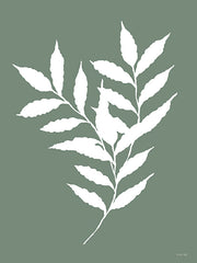 CIN3816 - Leaf Silhouette on Sage I - 12x16