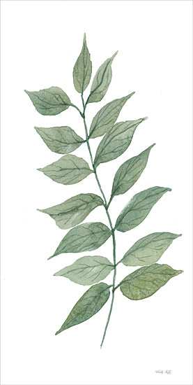 Cindy Jacobs CIN3819 - CIN3819 - Leaf Branch II - 9x18 Leaf, Silhouette, Green & White, Botanical, Nature from Penny Lane
