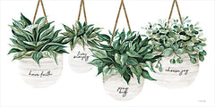 CIN4036 - Inspirational Potted Plants    - 18x9