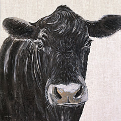 CIN4069 - Angus Cow II - 12x12