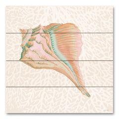 CIN4100PAL - Miami Vibe Seashell 3 - 12x12