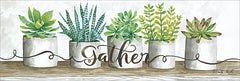 CIN412 - Gather Succulent Pots - 18x6