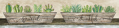 CIN544 - Grateful & Thankful Succulents - 20x5