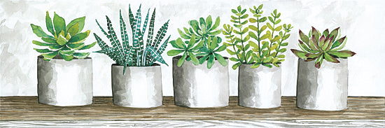 Cindy Jacobs CIN668 - CIN668 - Succulent Pots - 18x6 Succulents, Cactus,  Pots, Still Life, Shelf, Plants, Botanical from Penny Lane