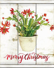 CIN808 - Merry Christmas Cactus