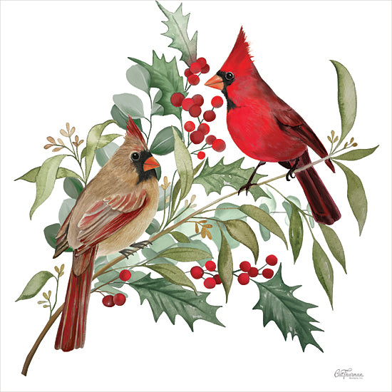 Cat Thurman Designs CTD101 - CTD101 - Cardinal Couple - 12x12 Christmas, Holidays, Cardinals, Birds, Greenery, Berries, Male, Female Cardinals, Winter, Nature from Penny Lane