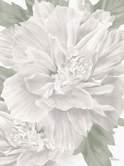 CTD135 - White Rose of Sharon - 12x16