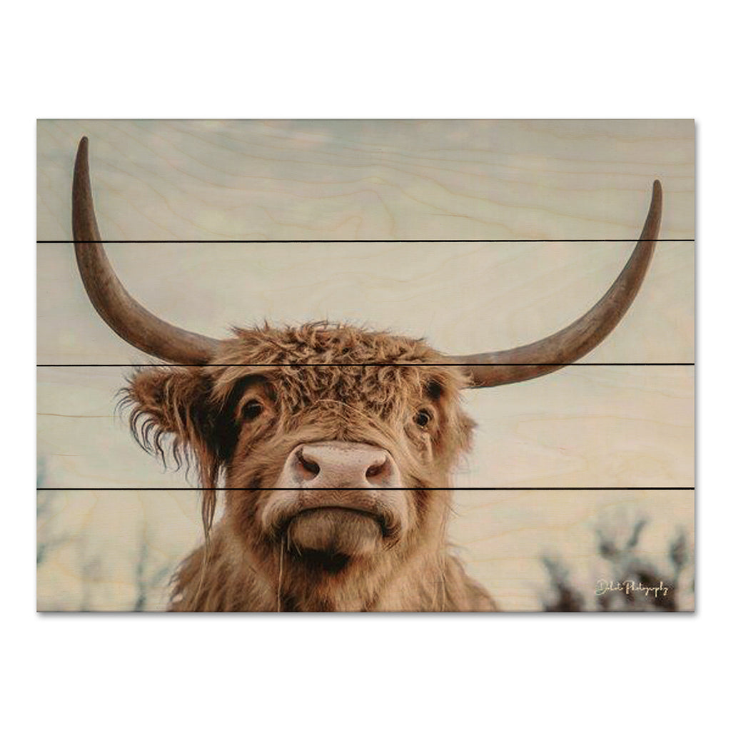 Dakota Diener DAK102PAL - DAK102PAL - Highland Selfie - 16x12 Cow, Highland Cow, Photography, Farm, Portrait from Penny Lane