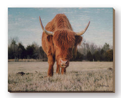 DAK106FW - Cow Portrait - 20x16