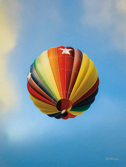 Dakota Diener DAK172 - DAK172 - Colors in the Sky IV - 12x16 Photography, Hot Air Balloon, Hobbies, Leisure from Penny Lane