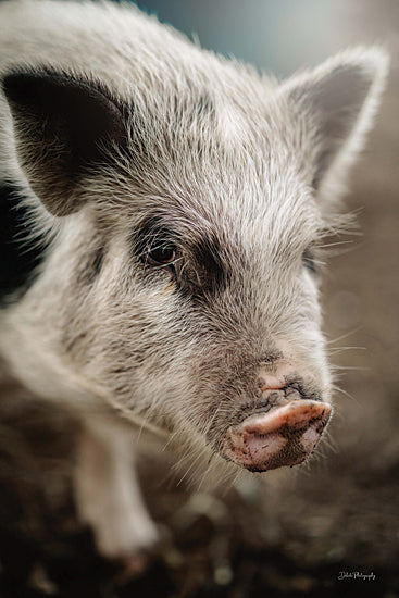 Dakota Diener DAK196 - DAK196 - This Little Pig I - 12x18 Pig, Photography, Farm Animal, Sideview from Penny Lane