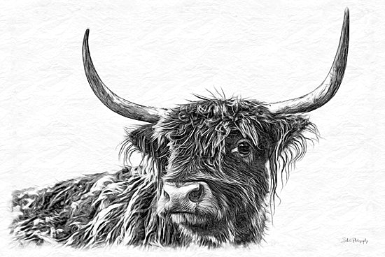 Dakota Diener DAK239 - DAK239 - Sketchy Highland III - 18x12 Cow, Highland Cow, Farm Animal, Sketch, Drawing Print, Black & White from Penny Lane