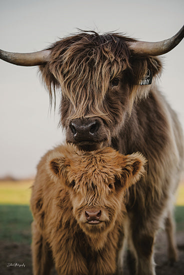 Dakota Diener DAK254 - DAK254 - Mom and Zeke - 12x18 Cow, Highland Cows, Highland Calf and Mother, Photography, Portrait from Penny Lane