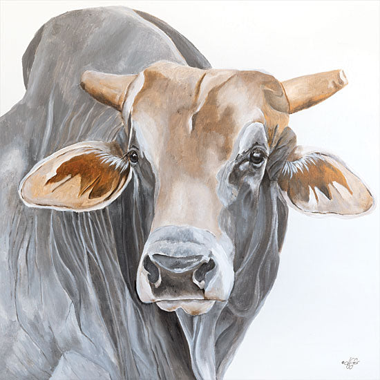 Diane Fifer DF133 - DF133 - Hump Day  - 12x12 Cow, Brahman Cow, Portrait, Farm from Penny Lane