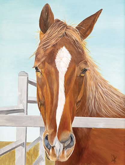 Diane Fifer DF152 - DF152 - Greg - 12x16 Horse, Fence, Farm Animal from Penny Lane