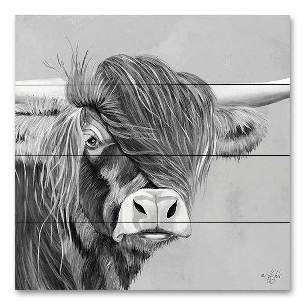 Diane Fifer DF159PAL - DF159PAL - Shaggy Highland - 12x12 Cow, Highland Cow, Black & White, Portrait from Penny Lane