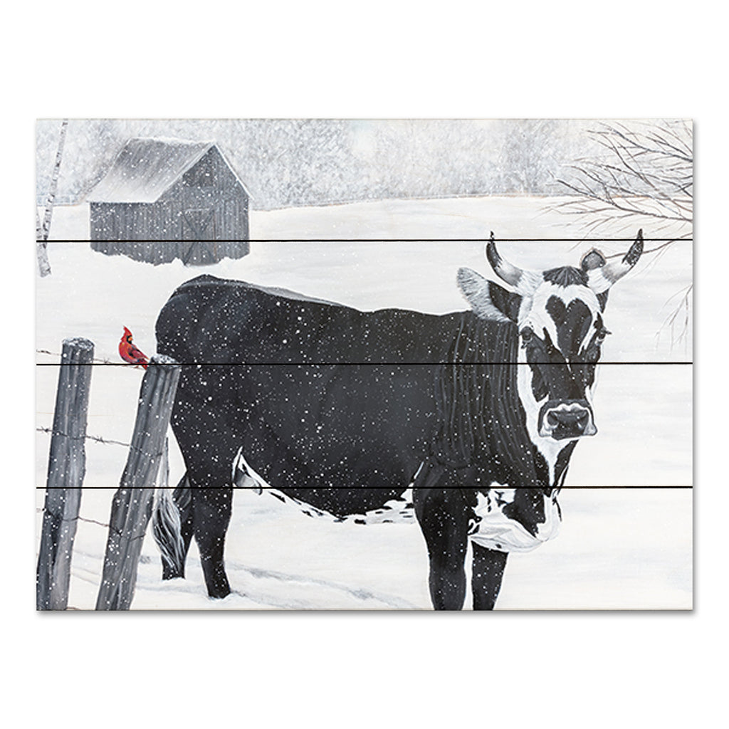 Diane Fifer DF173PAL - DF173PAL - Snowy Day on the Farm - 16x12 Cow, Winter, Animals, Farm, Snow, Robin, Black & White, Red Bird, Robin from Penny Lane