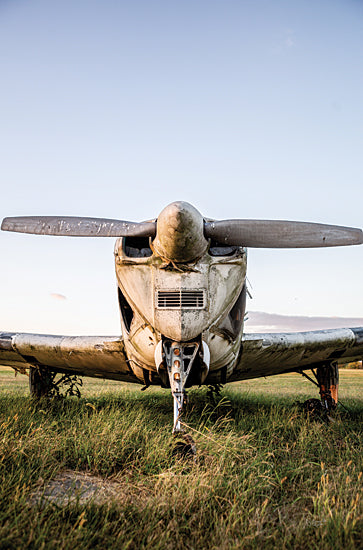 Donnie Quillen DQ163 - DQ163 - Last Flight III   - 12x18 Airplane, Photography, Field, Masculine from Penny Lane