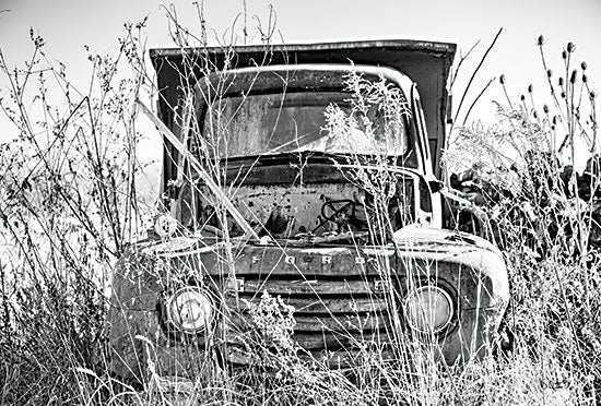 Donnie Quillen DQ185 - DQ185 - Truck in Wildflower Field - 18x12 Truck, Wildflowers,  Black & White, Photography, Masculine from Penny Lane