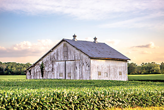 Donnie Quillen DQ197 - DQ197 - Rural Ohio Barn - 18x12 Photography, Barn, Farm, Ohio, Rural, Country, Corn, Fields, Landscape from Penny Lane