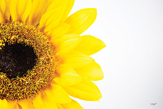 Donnie Quillen DQ200 - DQ200 - Sunflower Close-up - 18x12 Sunflowers, Close-up Sunflower, Photography, Autumn, Fall from Penny Lane