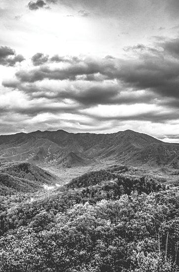 Donnie Quillen DQ217 - DQ217 - Mountain View - 12x18 Photography, Mountains, Trees, Landscape, Clouds, Black & White from Penny Lane